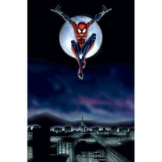 Marvel Spider-Girl 69