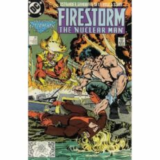 DC Firestorm Nuclear Man - 81