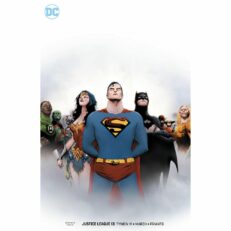 DC Justice League - 13 VARIANT
