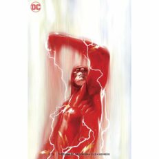 DC The Flash - 52 VARIANT