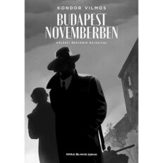Budapest novemberben - ÚJ