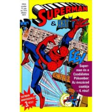Superman&Batman 15. (sérült)