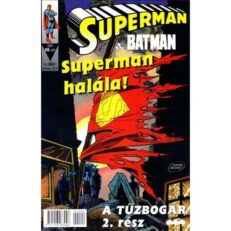 Superman&Batman 43. (sérült)