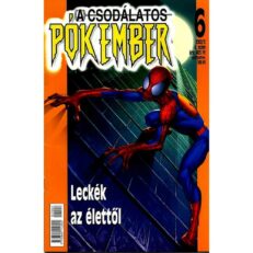 A Csodálatos Pókember 6. (2001) (szépséghibás)