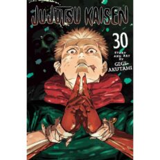 Jujutsu Kaisen 30.
