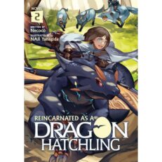 Reincarnated as a Dragon Hatchling (Light Novel) Vol. 2