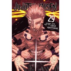 Jujutsu Kaisen 29.