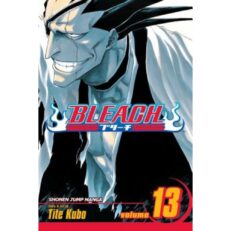Bleach 13.