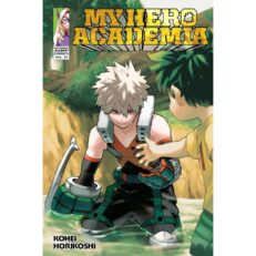 My Hero Academia 29.