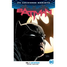 DC Universe Rebirth - Batman: I am Gotham vol. 1. (2017, TPB)